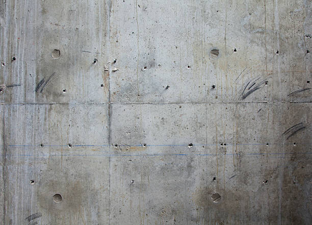 Best Concrete Grinding and Polishing in Bushnell, FL